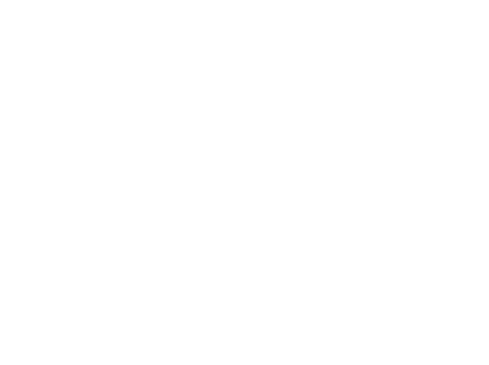 Spirit Guide flavor dog infographic